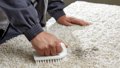 Professional Rug Cleaning Highton