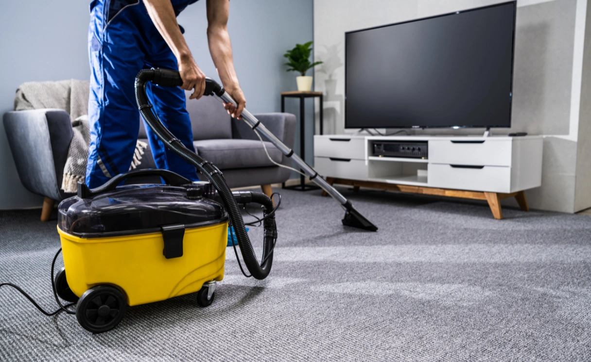 Extract Rug Cleaning Highton Contact Office